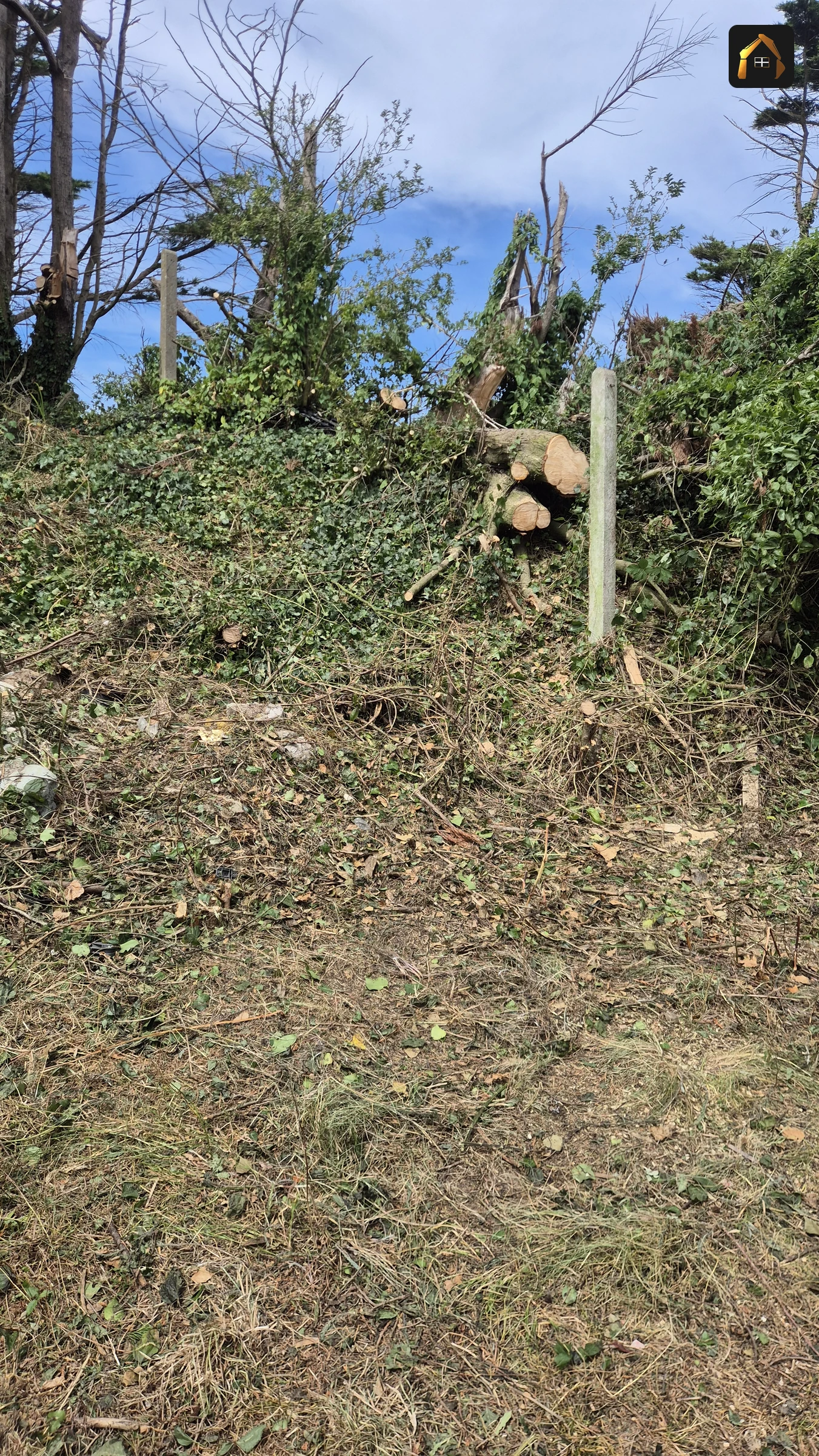 Completed clearance with the cut timber stacked on the bank in Hayle