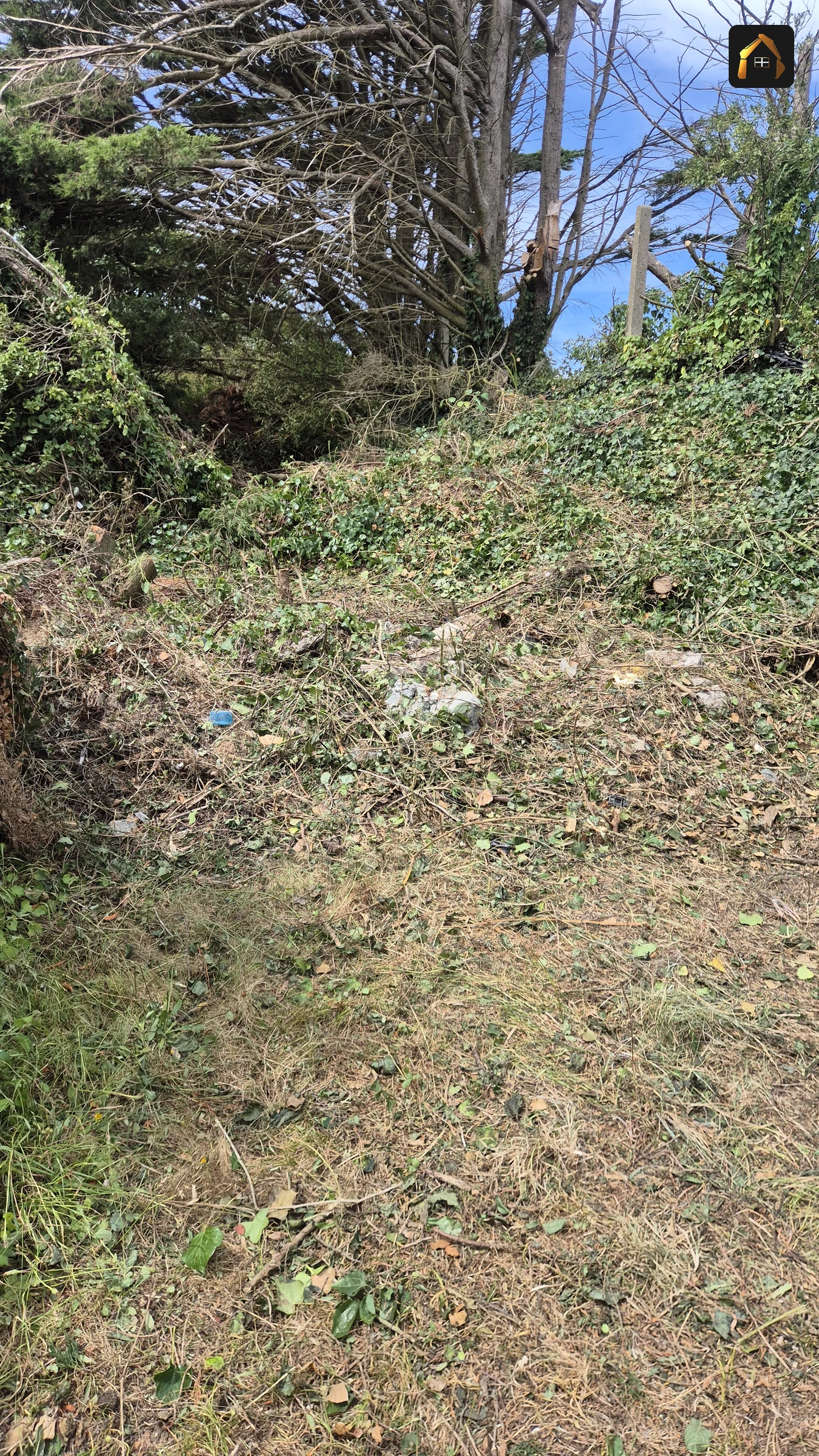 Completed clearance showing the full profile of the bank in Hayle